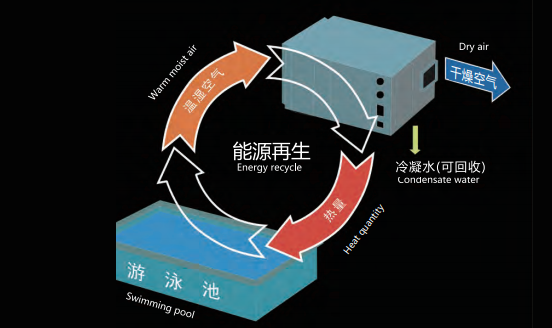 室內(nèi)游泳池除濕機 室內(nèi)游泳池除濕機